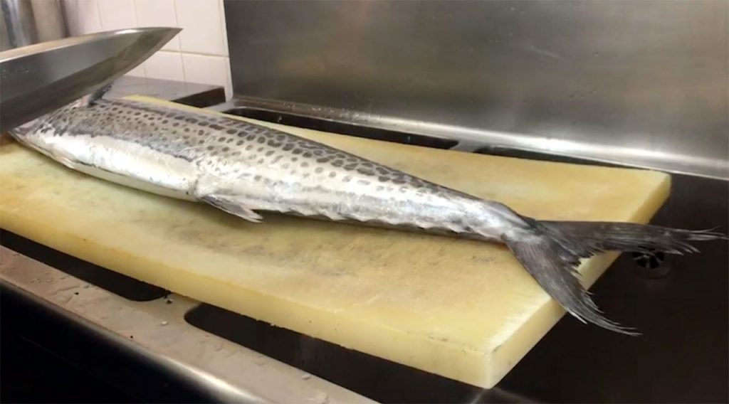 METHOD FOR TREATMENT OF THE JAPANESE SPANISH MACKEREL Recipes of